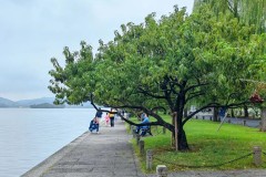 冯玉祥将军墓地：墓碑、台阶与郭沫若题字的故事