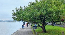 冯玉祥将军墓地：墓碑、台阶与郭沫若题字的故事